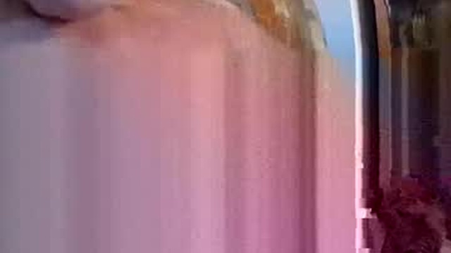 oracze