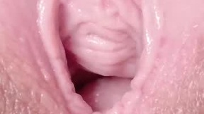 Recent Screenshot of  orchidekitty