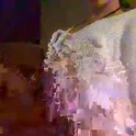orvimoon's Profile Picture