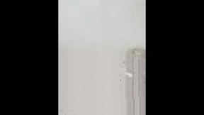 Recent Screenshot of  oscarchacrita