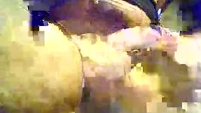 Recent Screenshot of  ostregaro