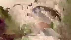 Recent Screenshot of  ouali847960992