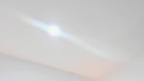 Recent Screenshot of  paloma_lorens