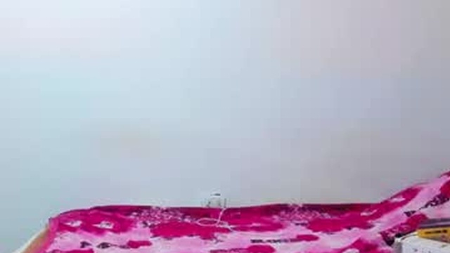 pamelazay