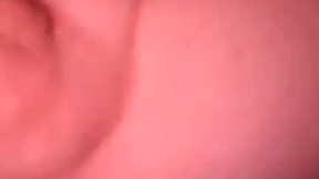 Recent Screenshot of  panda320