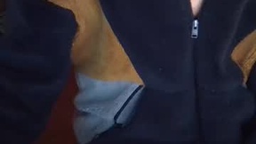 Recent Screenshot of  panther176