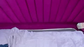 हाल ही का स्ट्रीनिॉट paris_petit