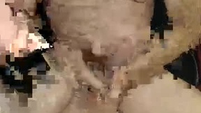 Recent Screenshot of  paul_1955