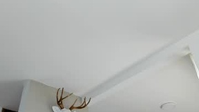 Recent Screenshot of  paul_reyborg