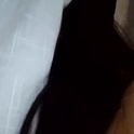 paula_torrez's Profile Picture