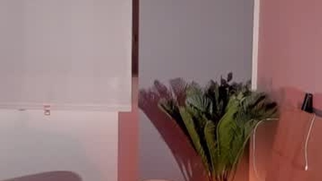 paulacora