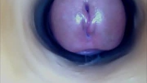 Recent Screenshot of  paulainoscente