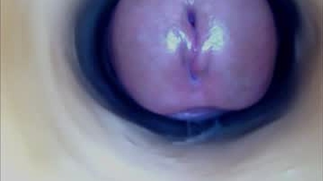 paulainoscente