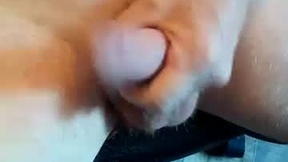 Recent Screenshot of  paulplus4