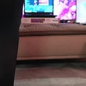 pawg_official's Profile Picture