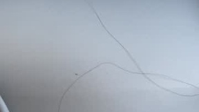 Recent Screenshot of  peninayni