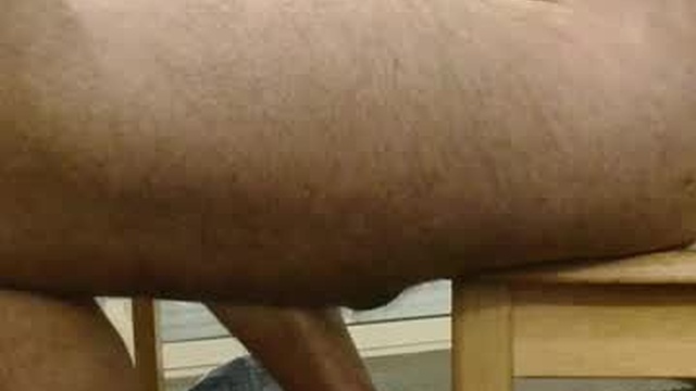 perra_de_phillip_brown