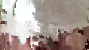 Recent Screenshot of  pestgogo