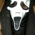 petite_aurora1's Profile Picture