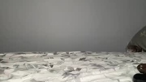 Recent Screenshot of  petitefoxyfun
