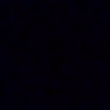pickledalivemrf's Profile Picture