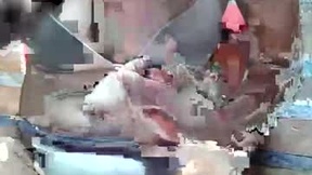 Recent Screenshot of  pinayhairyflower