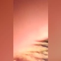 pineapple_king69's Profile Picture