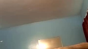 Recent Screenshot of  pipelayer310