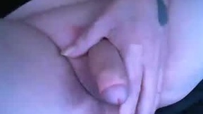 Recent Screenshot of  pittchen