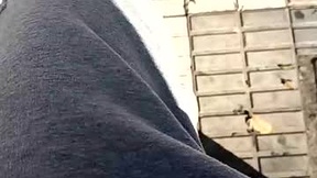 Recent Screenshot of  pollontf