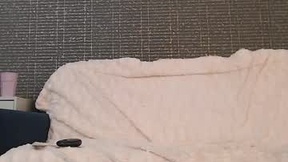 Aktueller Screenshot von pollysunrise