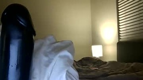 Recent Screenshot of  popfunkdelight