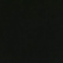 poppawheelie1234's Profile Picture