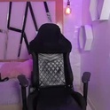 prince_cat's Profile Picture