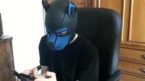 Recent Screenshot of  pup_toby