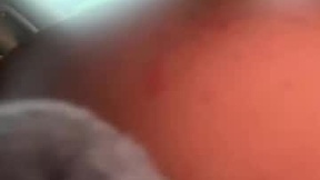 Recent Screenshot of  pytbaby