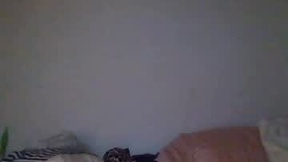 Recent Screenshot of  rackoftrans