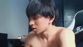 Recent Screenshot of  raikougame