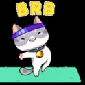 raven_gasaii's Profile Picture