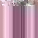 rayray9902's Profile Picture