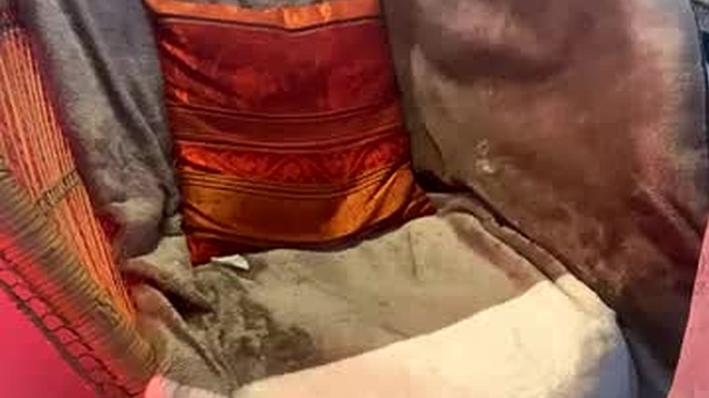 redfoxofficial