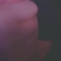 reecoiled's Profile Picture