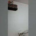 reesex00x's Profile Picture