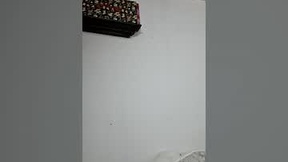 لقطة شاشة حديثة لـ reesex00x