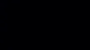 Recent Screenshot of  reve20
