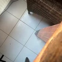 revilo1165's Profile Picture