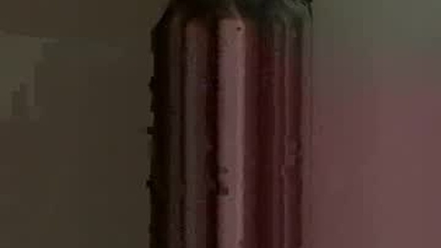 reybqandt