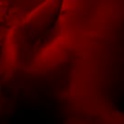 ricclvs's Profile Picture