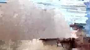Recent Screenshot of  roastermax