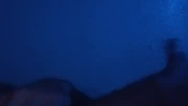 robertjwerner10